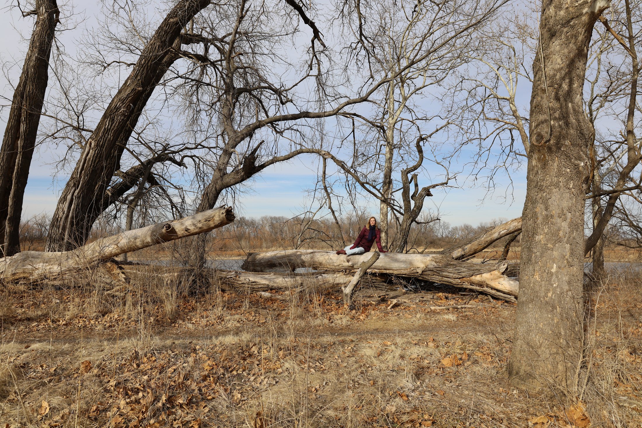Wide outdoor portrait framed by trees near a river